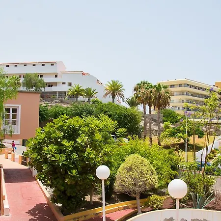 Daire Playa Torviscas